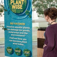 be plant wise 1003 1037